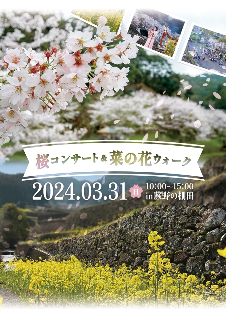 桜コンサート&菜の花ウォークin蕨野の棚田