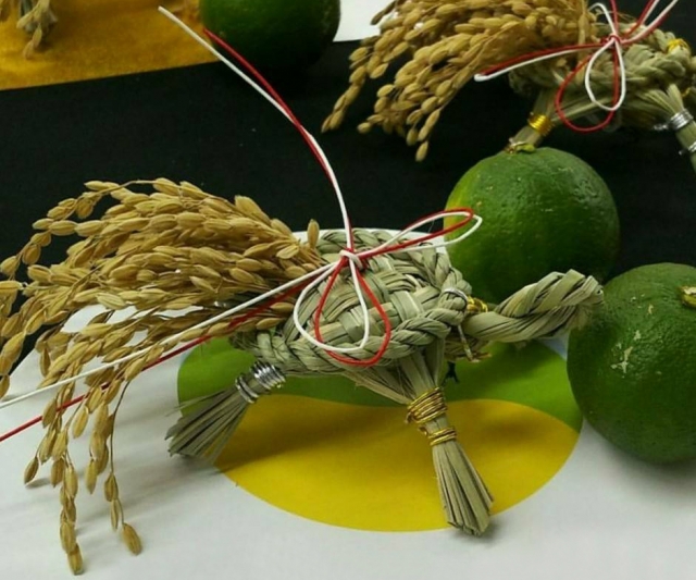 世界農業遺産 「七島藺」でつくる亀のオブジェ