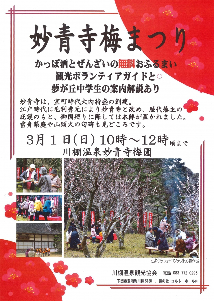 妙青寺梅まつり