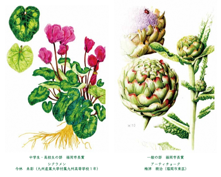 第24回福岡市植物園植物画コンクール入賞作品展