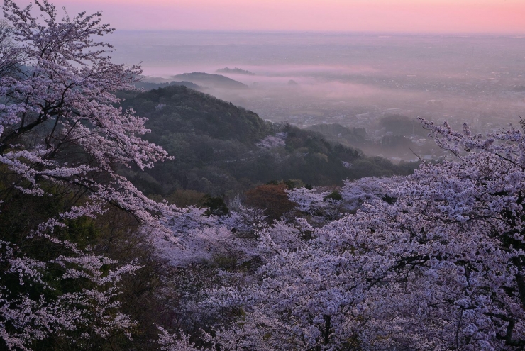 風景写真Award2019展・福岡展