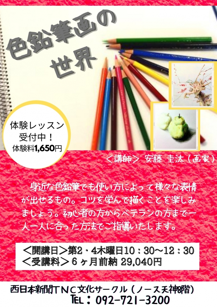 色鉛筆の世界