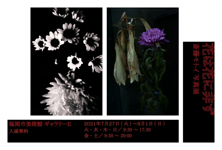 花は花に非ず - 斎藤モトイ写真展 -