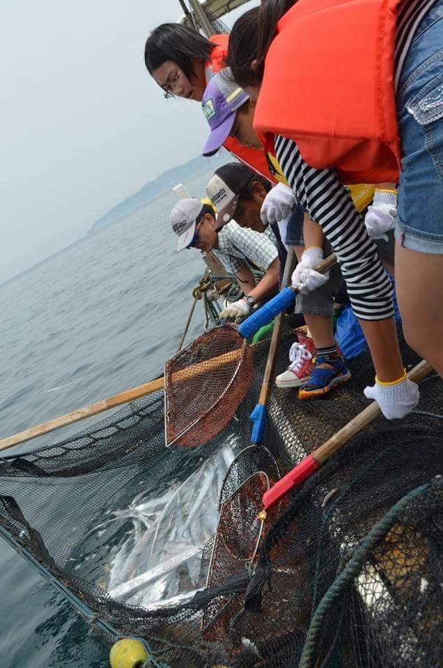 玄界島で漁業体験