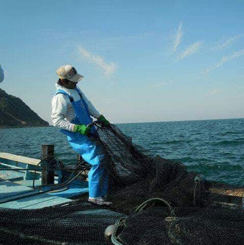 玄界島で漁業体験