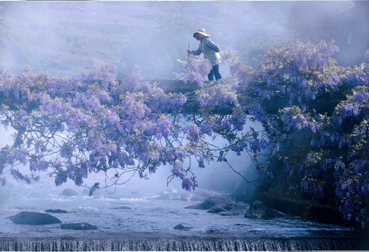 森田恭平写真展「15年間の回顧録」