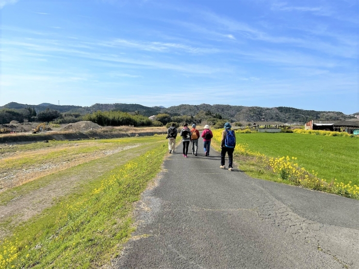 うさコレ夏 夏の避暑地「岳切渓谷」フットパス