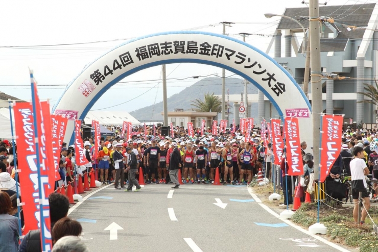 第47回 福岡志賀島金印マラソン大会
