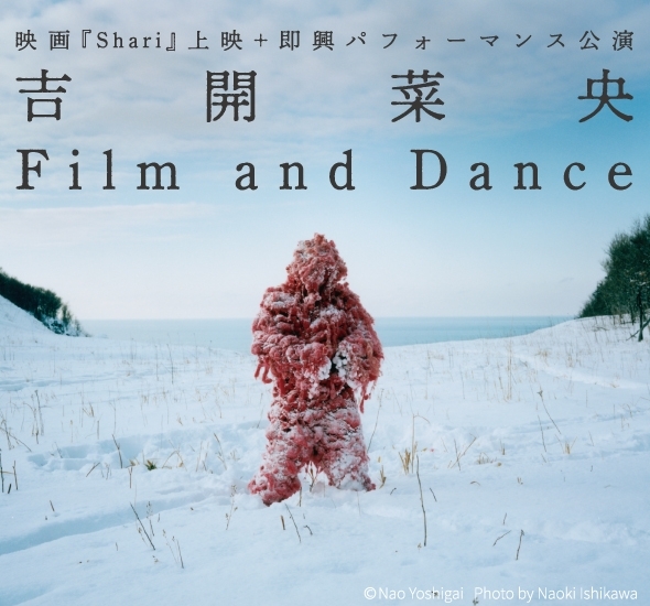 吉開菜央 Film and Dance