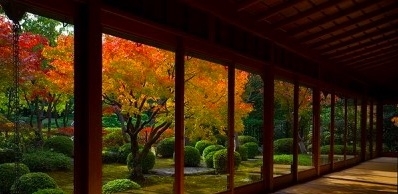 紅葉の大濠日本庭園で授業「黒田官兵衛と千利休」と利休の菓子ふの焼茶会