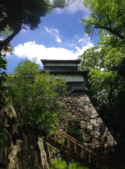 ウメ咲く福岡城歴史遠足と教室「福岡城命名3つの異説」