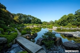 大濠公園日本庭園広間で教室:「光る君へ」と筑前&煎茶会:源氏物語の菓子・粉熟.古代の甘み甘葛で復元