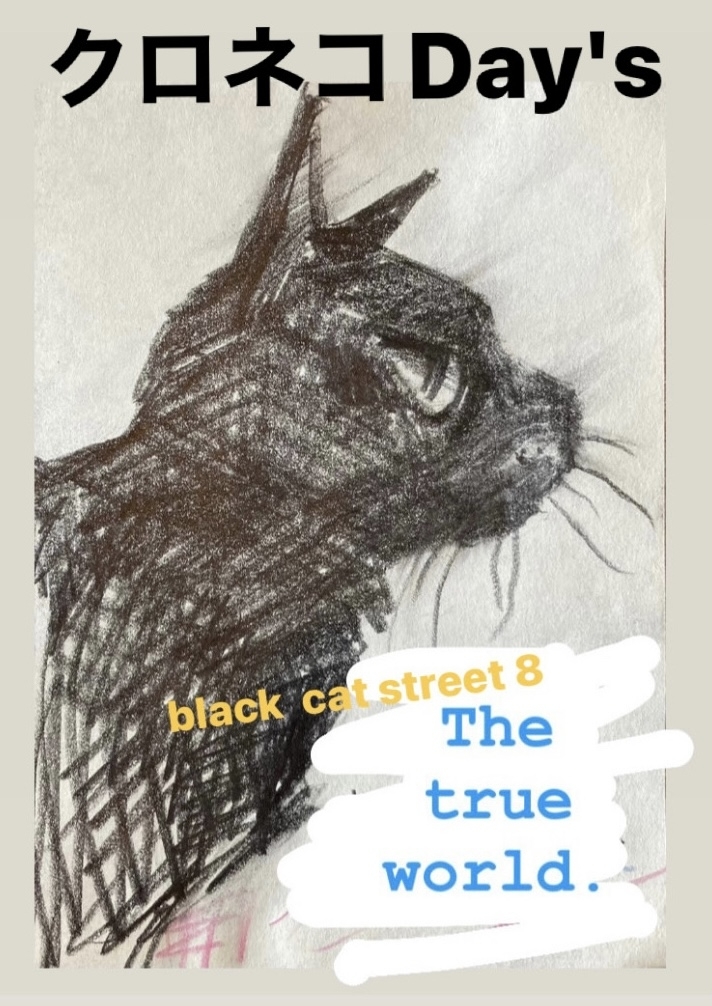 BLACK CAT STREET8 the true world 本当の世界｜イベント一覧｜福岡の