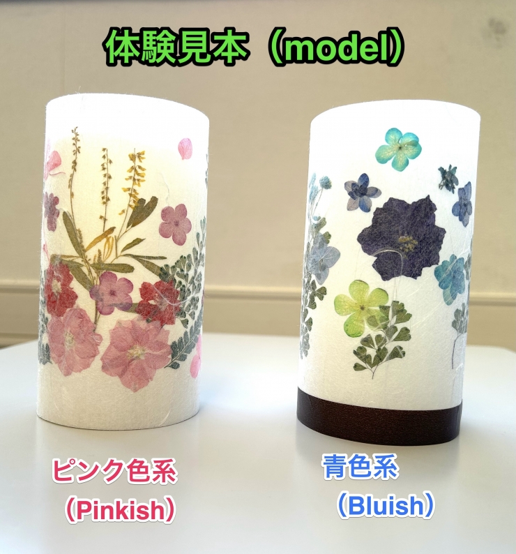 ふくおか県芸術文化祭2024押し花フェスティバル(Pressed Flowers Festival)