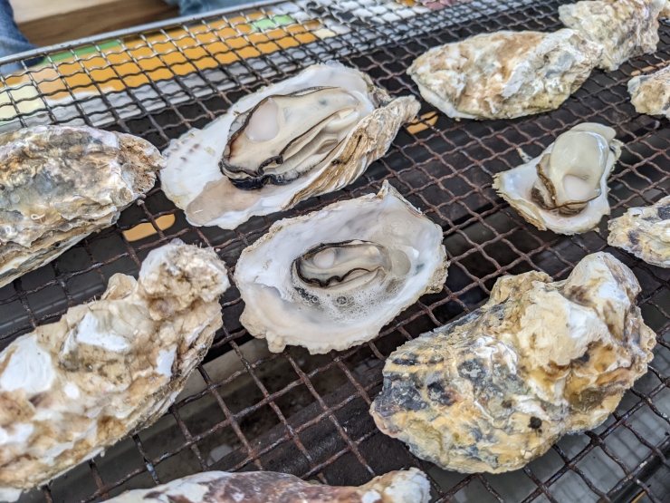 西糸島カキ小屋バスツアー