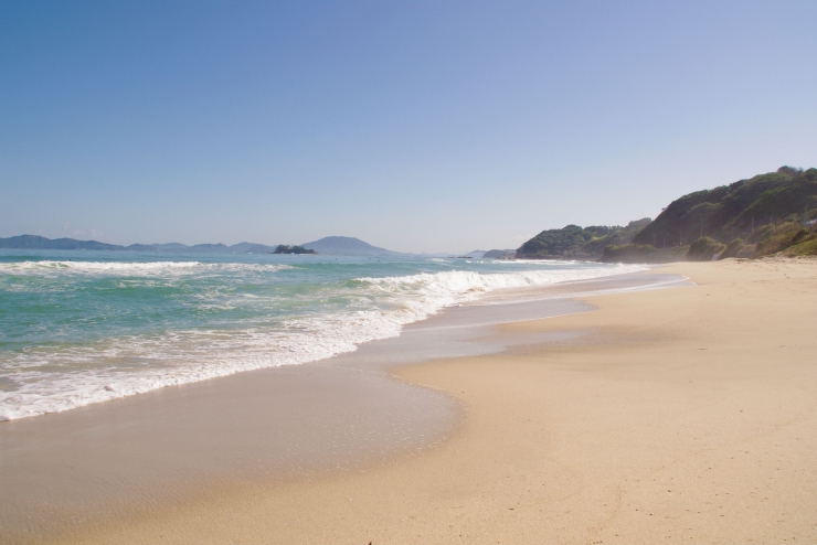 西糸島カキ小屋バスツアー