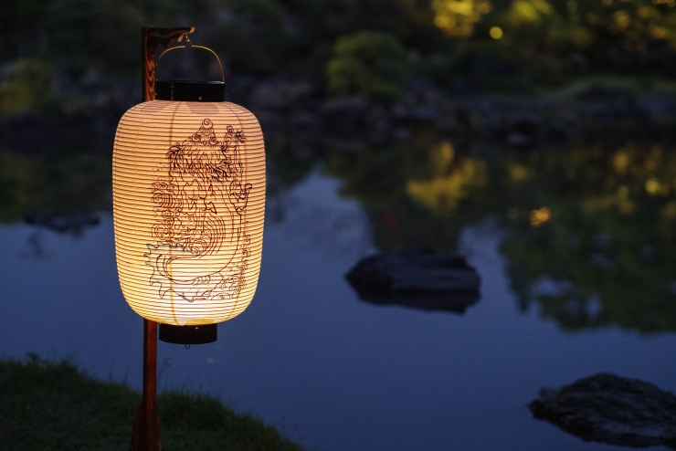 奇怪夜行
