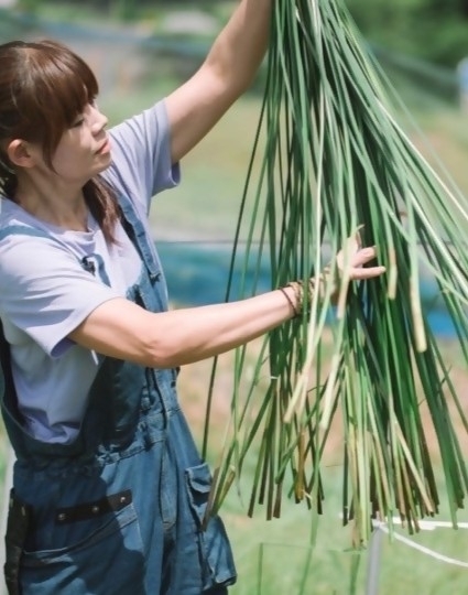 国東半島六郷満山の里で360年前から伝わる「七島藺」の伝統工芸を体験するプラン