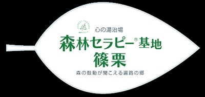森林セラピー基地・篠栗『落陽・大杉ガイドコース』|スギヒノキチップの道を歩き大和の大杉と出会う2時間