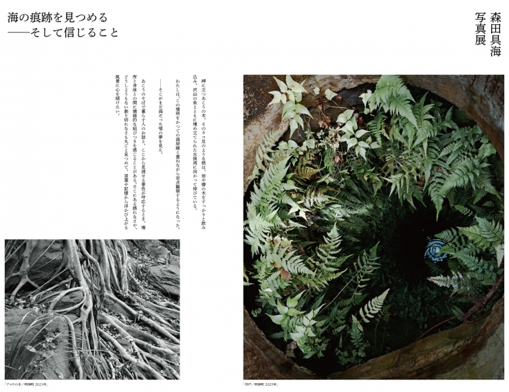  森田具海 写真展  海の痕跡を見つめる ―そして信じること  