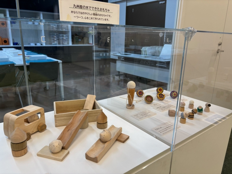 企画展「はっけん!コノキナンノキ～福岡の森～」