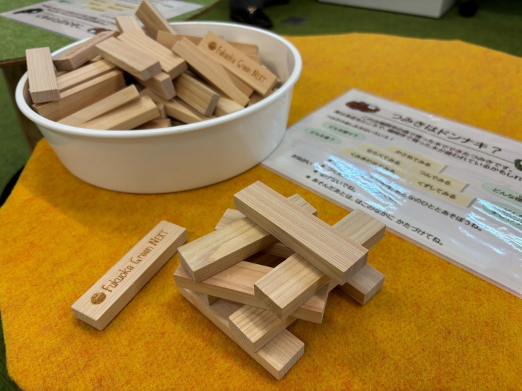 企画展「はっけん!コノキナンノキ～福岡の森～」