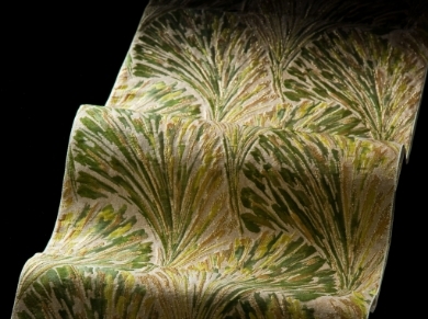 博多織と博多絞