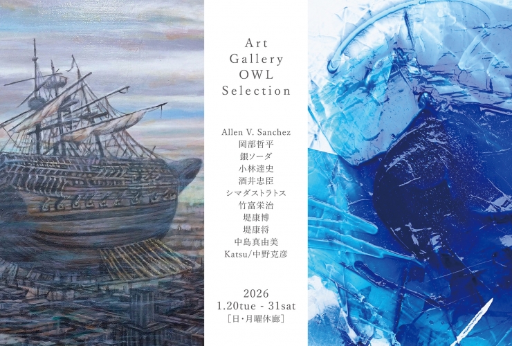 Art Gallery OWL Selection