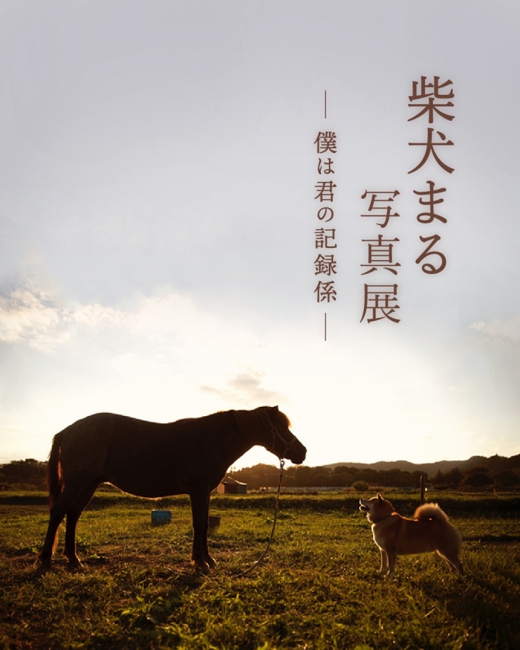 柴犬まる写真展  ー 僕は君の記録係 ー  in 福岡