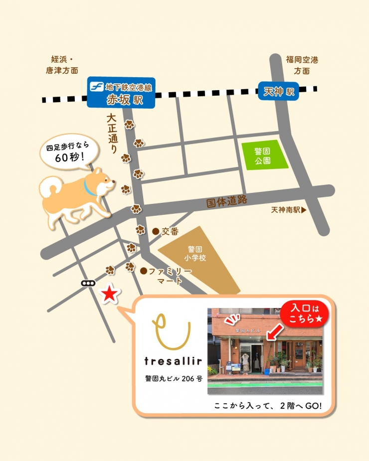 柴犬まる写真展  ー 僕は君の記録係 ー  in 福岡