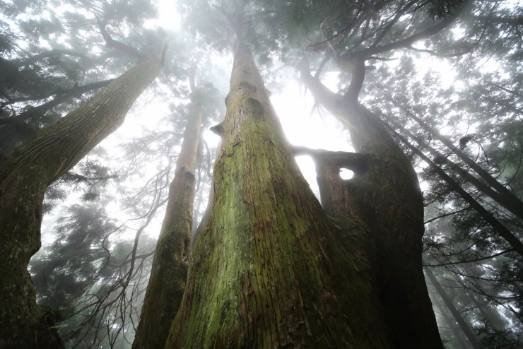 福岡から30分、日常を離れて森と静けさに出会う 篠栗八十八ヶ所霊場と森林セラピーのまち 篠栗観光展