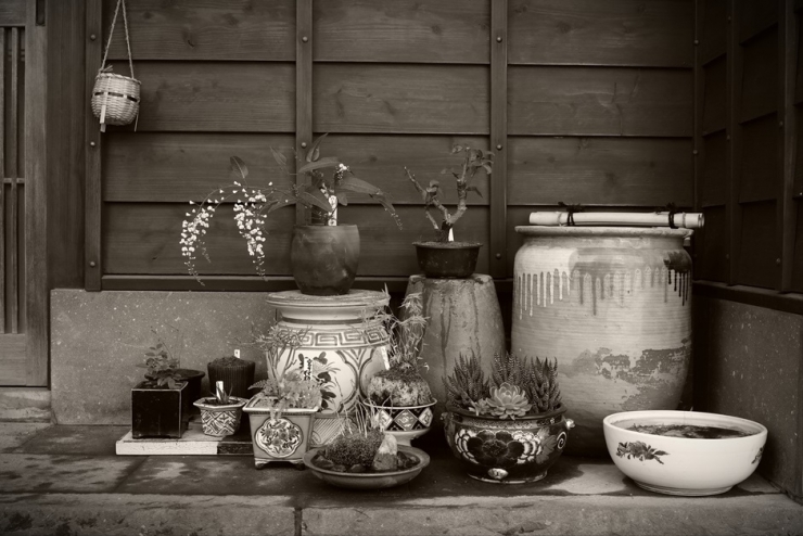 甍と社とその周辺(博多・中洲思慕編)