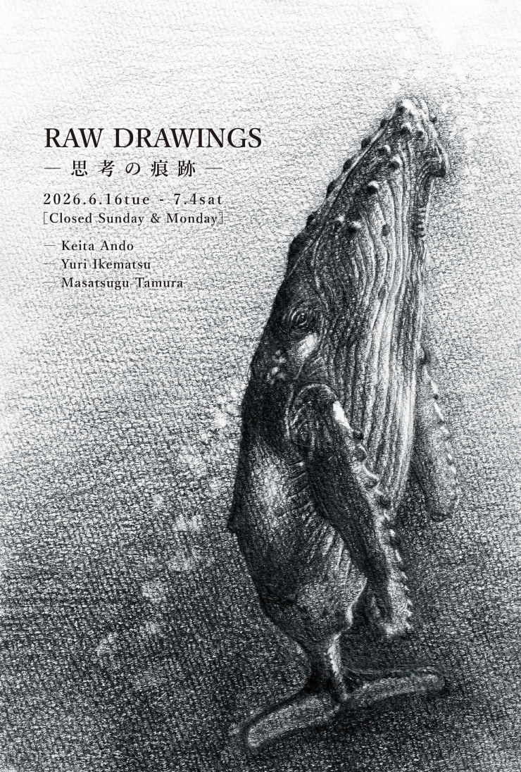 RAW DRAWINGS - 思考の痕跡 -