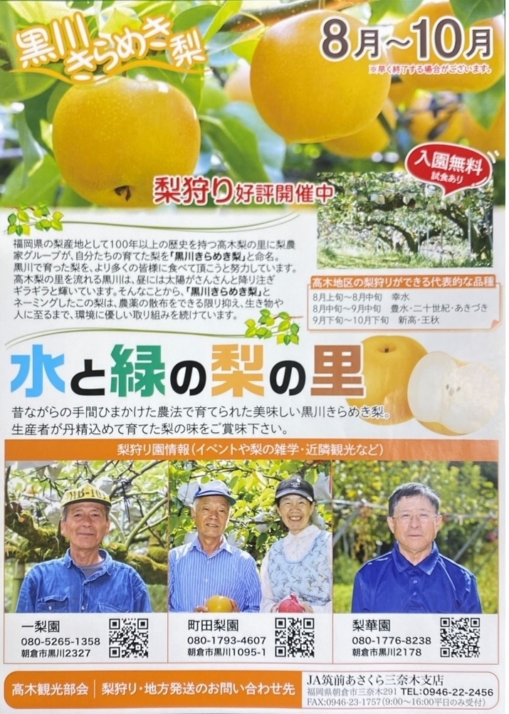 梨狩り