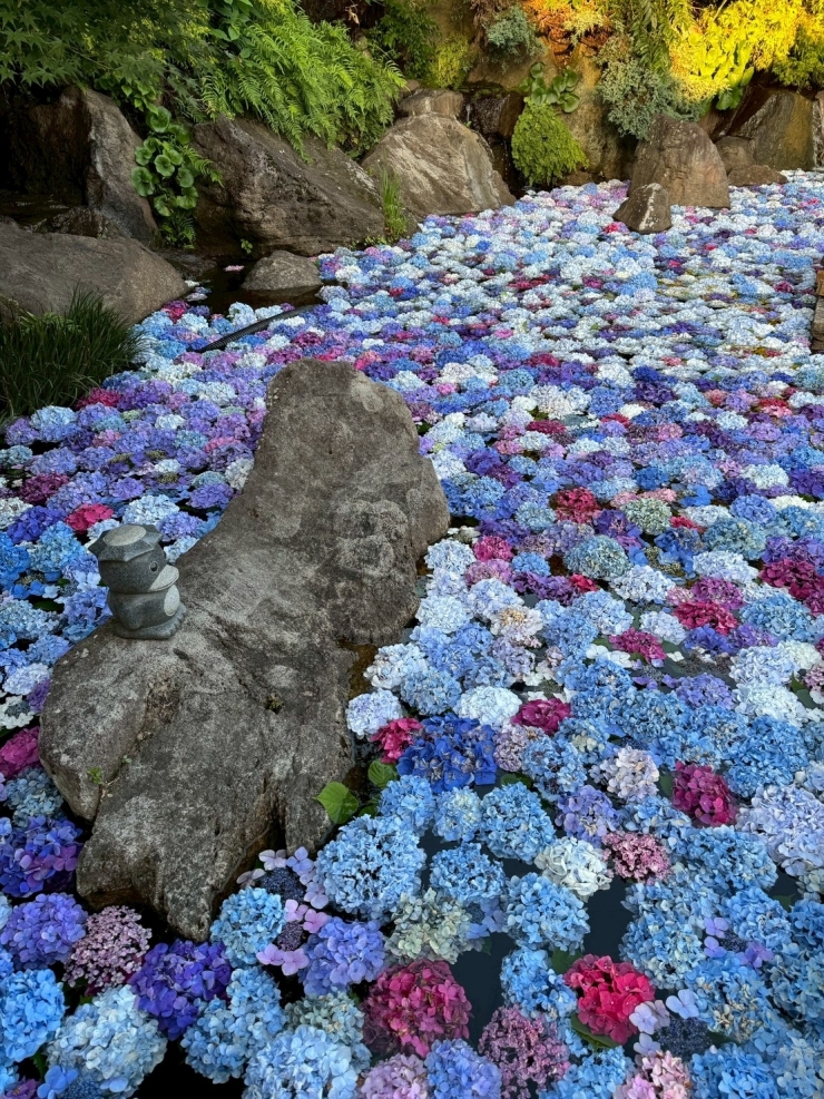 あじさい花手水