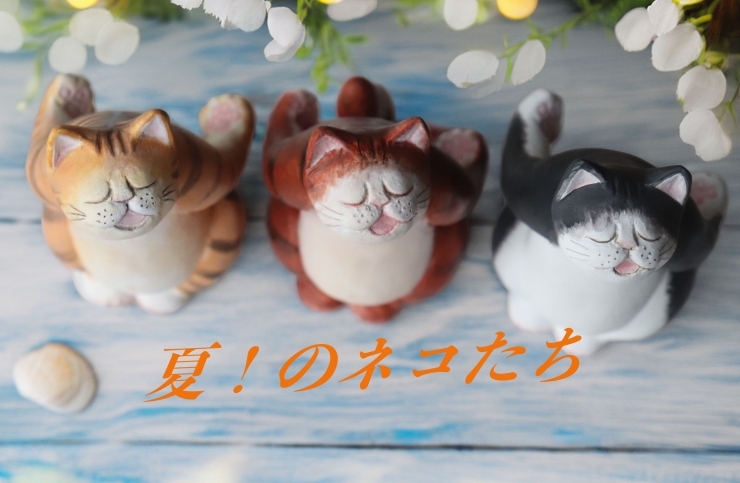 夏!のネコたち